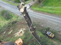 Drouin Tree Services image 2